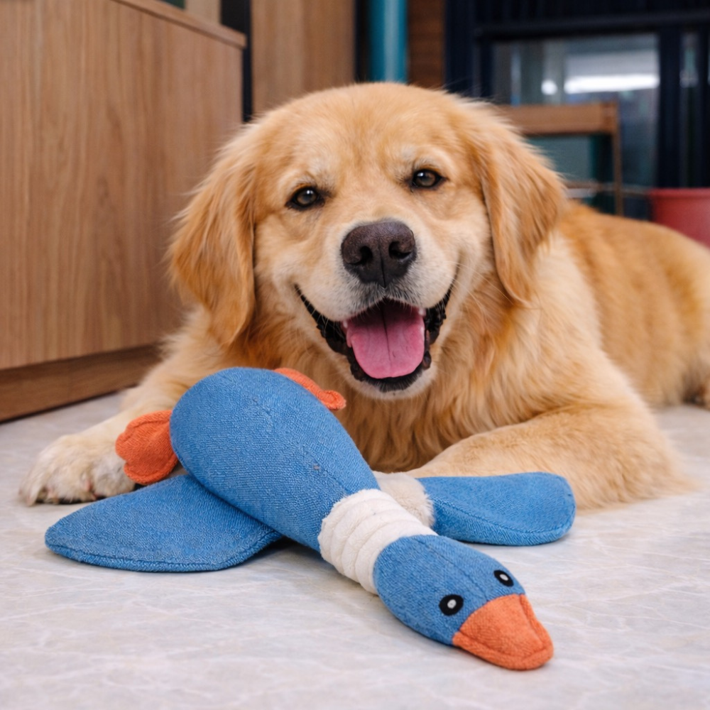 Squeaky Plush Goose Dog Toy – Durable Chew Toy for Dogs