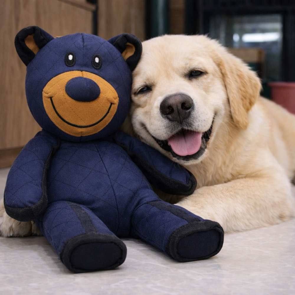Soft Durable Plush Bear Dog Toy with Squeaker for Dogs