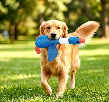 Squeaky Plush Goose Dog Toy – Durable Chew Toy for Dogs